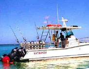 Rincon, Puerto Rico, diving, snorkeling, scuba