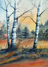 Birkenlandschaft 40x50cm Aquarell
