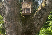 Garten-AG baut Insektenhotels