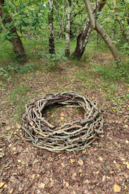 brigitta backhaus, nurnatur, landart, landartist, art, temoraryart, inspired by nature, naturalart, landartphotography, temporayartwork, landscape
