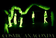 COSMIC ANACONDA @ Slovene Ethnographic Museum, 2011