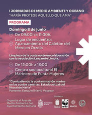 COUP, Lanzarote Limpia, Cleanup, Beachclean, Strand, Lanzarote, Reinigung, Limpieza, Playa, Paradiso, Beach