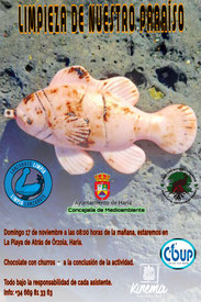 COUP, Lanzarote Limpia, Cleanup, Beachclean, Strand, Lanzarote, Reinigung, Limpieza, Playa, Paradiso, Beach
