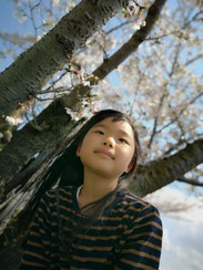 いい天気だな,うしさん,桜フォトコンテスト,2020,浅草粋や賞