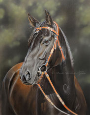 Pferdeportrait gemalt nach Fotovorlage in Pastell
