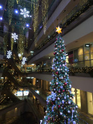 表参道ヒルズのツリー