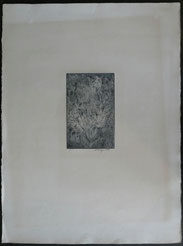 Mark Tobey, "Magic Forest", Kaltnadelradierung, H.C., handsigniert, 24,0 x 15,5 , € 400,00
