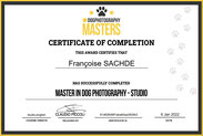 Dog photography masters studio photography