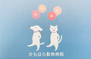 かもはら動物病院