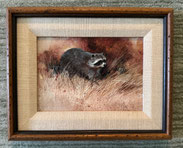 "Raccoon" by Peggy Mory