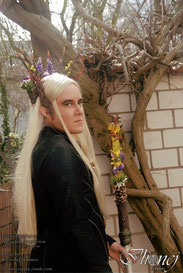 "Dale" - Thranduil Oropherion - Costume and photo edit ©Sandra F. Hammer, photo by Waltraud Hammer