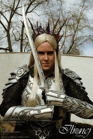 "To The End" - Thranduil Oropherion - Costume and photo edit ©Sandra F. Hammer, photo by Waltraud Hammer