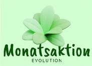 Evolution Aktionen