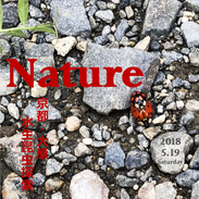 nature_水生昆虫（京都科学読み物研究会主催）