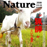 nature_わな