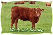 Weiderind-Sharing | Mein BioRind