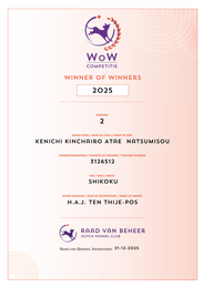 四国犬  Shikoku Ken