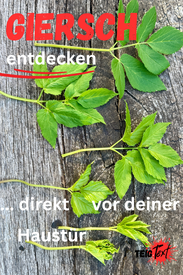 Bärlauch-Frühlings-Quark