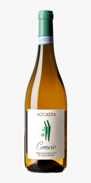 Verdicchio dei Castelli di Jesi DOC Classico Superiore