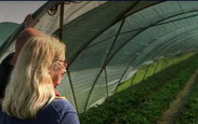Biotope (NABU Heidelberg)