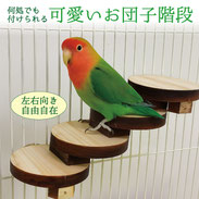 鳥用 お団子階段 インコ はしご
