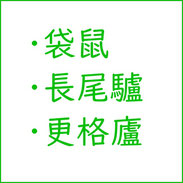 袋鼠･長尾驢･更格廬って何の動物？