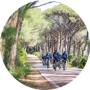 Rennrad fahren in der Gruppe