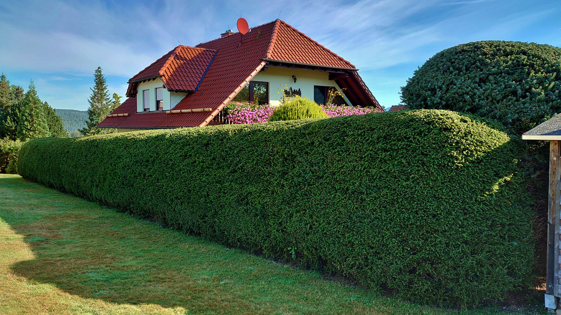 Heckenschnitt Garten und Grünanlagepflege