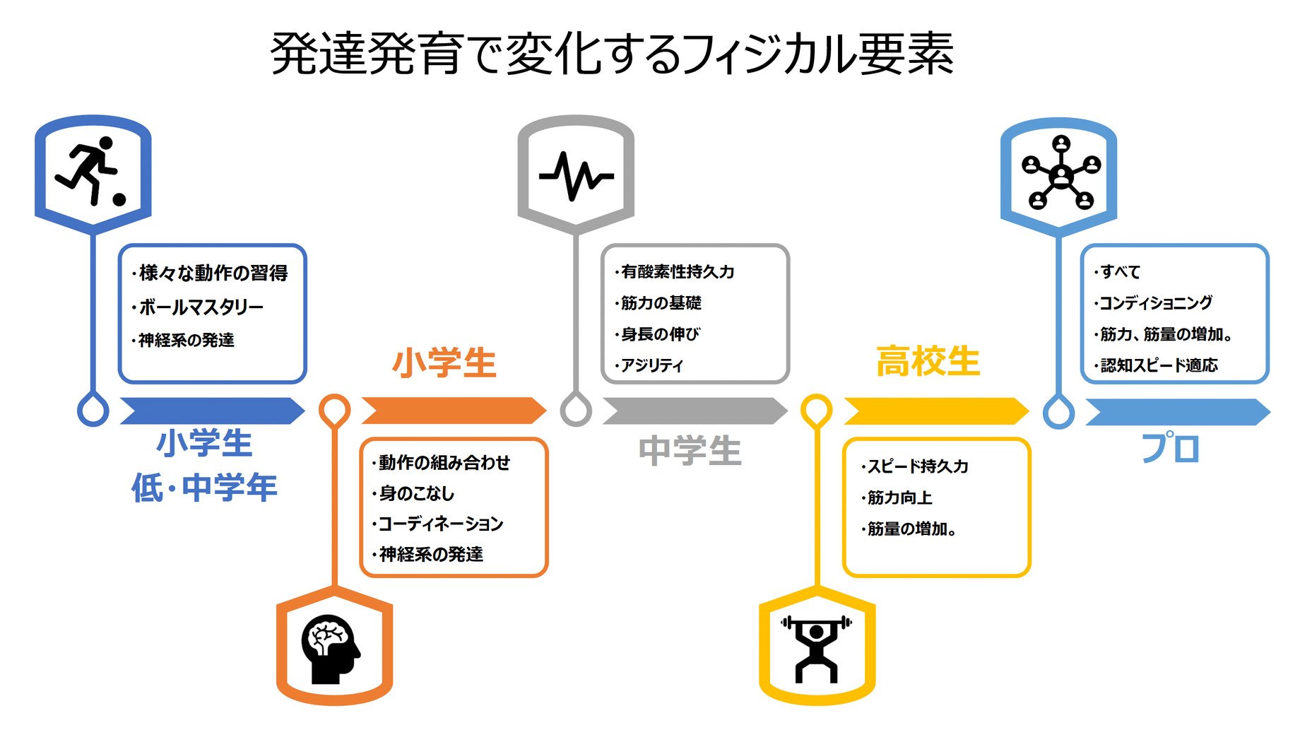 年代別プログラム図