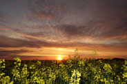 Sonnenuntergang am 20. Mai 2017 von der Neustädter Höhe