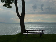 Stillleben am Bodensee