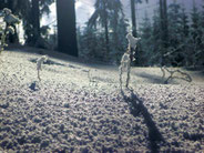 zauberhafte Winterlandschaft im Vogtland