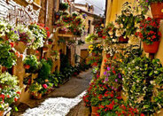 spello