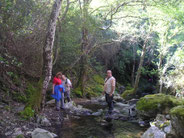 Por Aracena