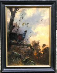 Eugen Frank-Colon Düsseldorf Auerhahn auf Ast Öl auf Mahagoni 32 x 23,5 cm, € 650,00