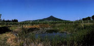 il Bagno e il Monte Lozzo (da "I colli euganei" a cura di Selmin, ed. CiErre)