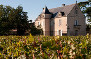 SAINT-ESTEPHE