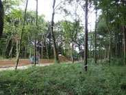 開発地