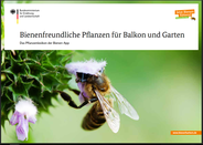 Bienenfreundliche Pflanzen für Balkon und Garten