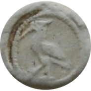 Kievit