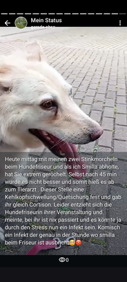 Arme Smilla
