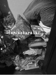 訪問片付けサービスで行った引っ越し前の荷物整理