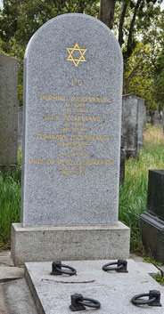 Ehrengrab Dr. Otto Zuckerkandl am Zentralfriedhof Wien