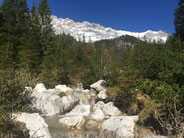Blumenwiese, Yoga und Wandern in Österreich - Yogaretreat über Ostern im Bregenzerwald