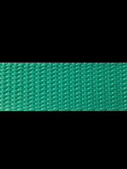 Gurtband 10, minze