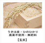 江藤農園の米粉