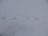 Wintergeburtstag am Federsee feiern