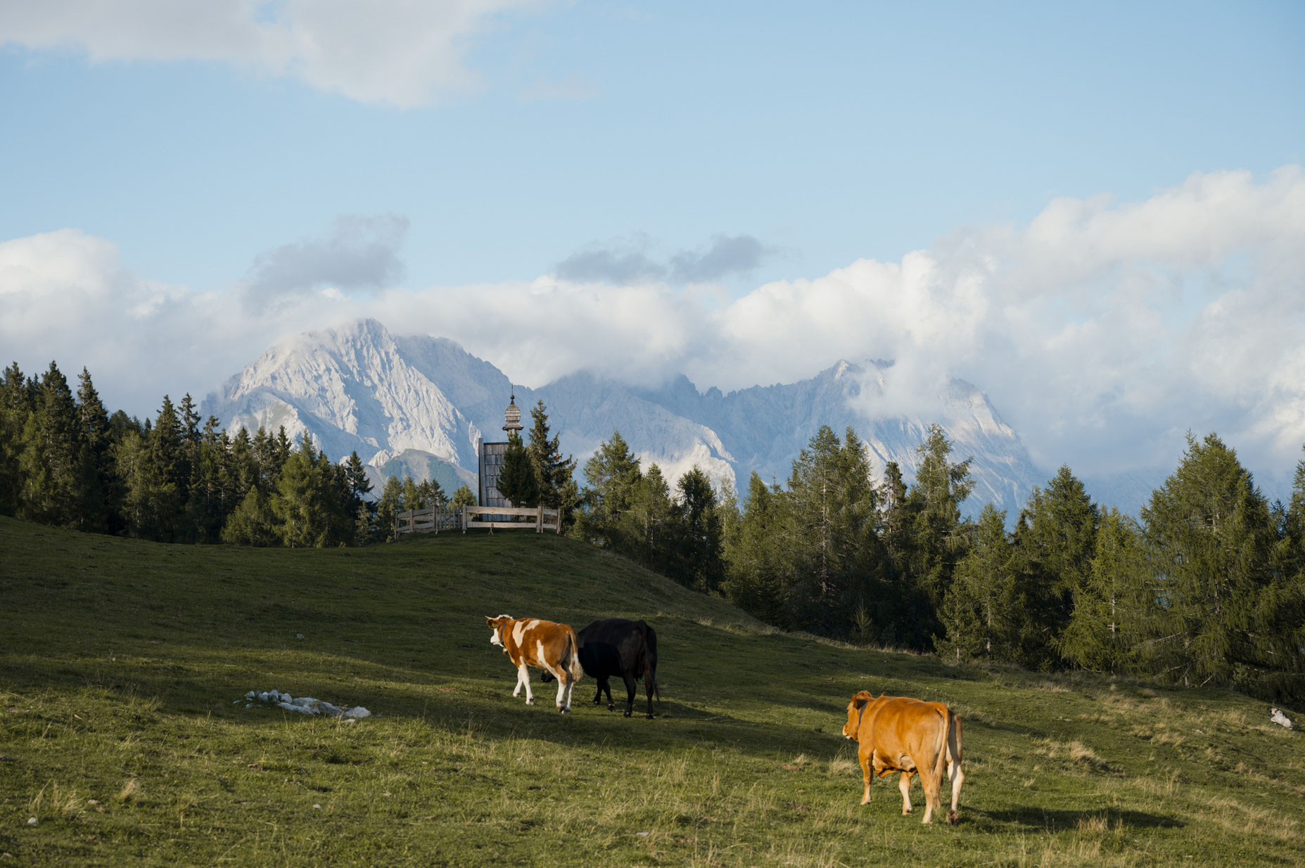 DAS1494 • Ferien im Baudenkmal | Apartmenthaus am Mieminger Plateau in Tirol • Member of Mountain Hideaways ©MarikaUnterladstätter