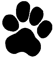 mail format