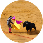 don't support bull-fighting